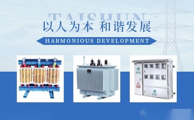 泰順電力科研 推動綠色能源與智能電網融合發展